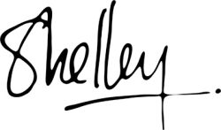Shelley Wales signature/logo, artist, abstract painter in Sydney Australia